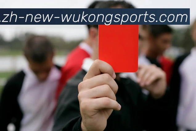 悟空体育服务体系